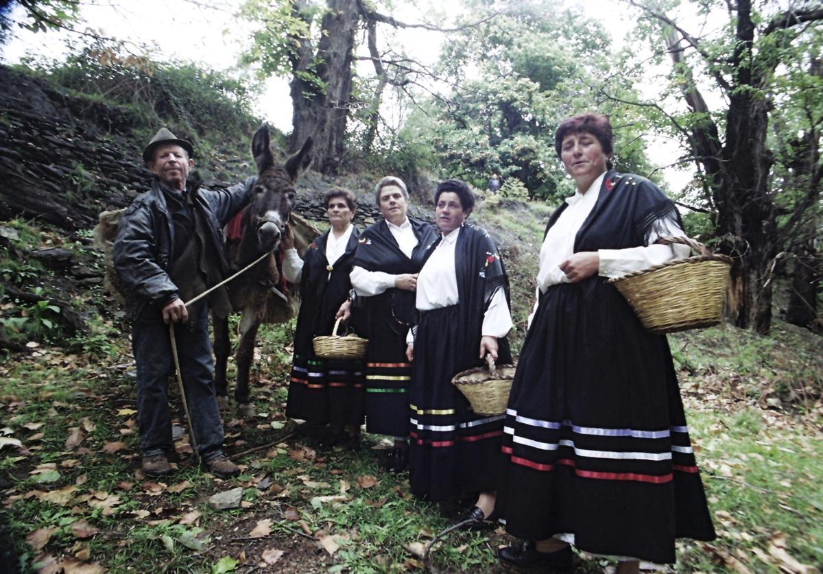 Mecina Bombarón asará 300 kilos de castañas en sus fiestas dedicadas a este fruto alpujarreño