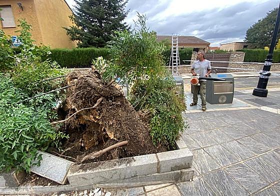 Efectos del temporal en la calle Real Baja de Ogíjares