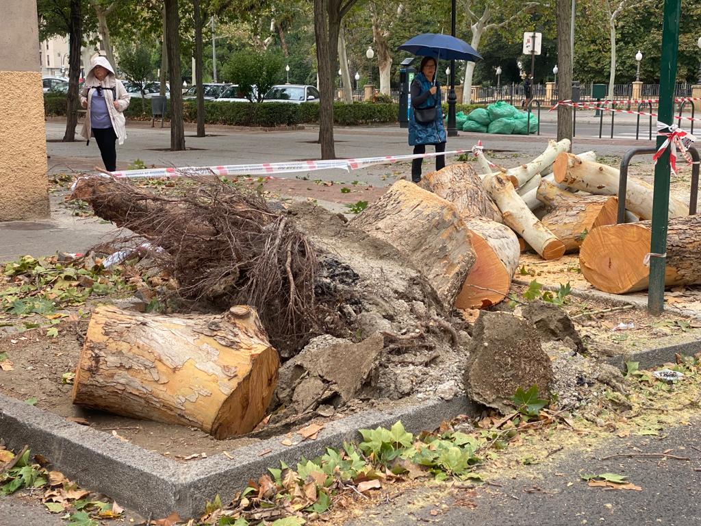 Los daños causados por la borrasca Bernard en Granada, en imágenes