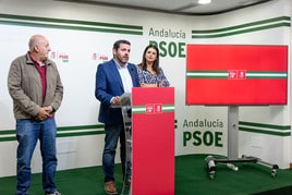 Algunos de los miembros del PSOE almeriense.