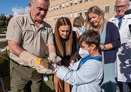Suelta de aves desde el Jardín de los Sueños del Materno-Infantil.