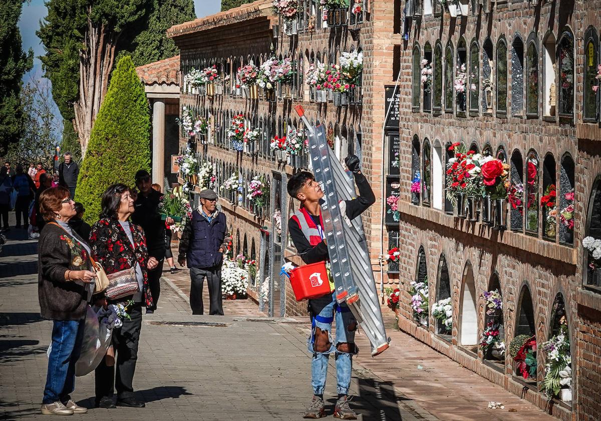 Granadinos en el cementerio de San José cambiando las flores de las lápidas.