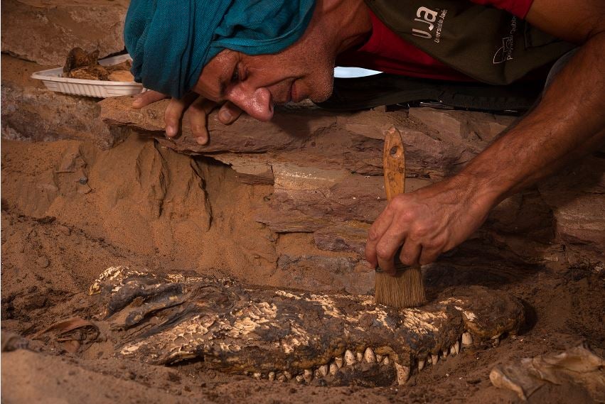 La uja iniciará el día 16 la xv campaña de excavaciones en la necrópolis egipcia de qubbet el-hawa | ideal