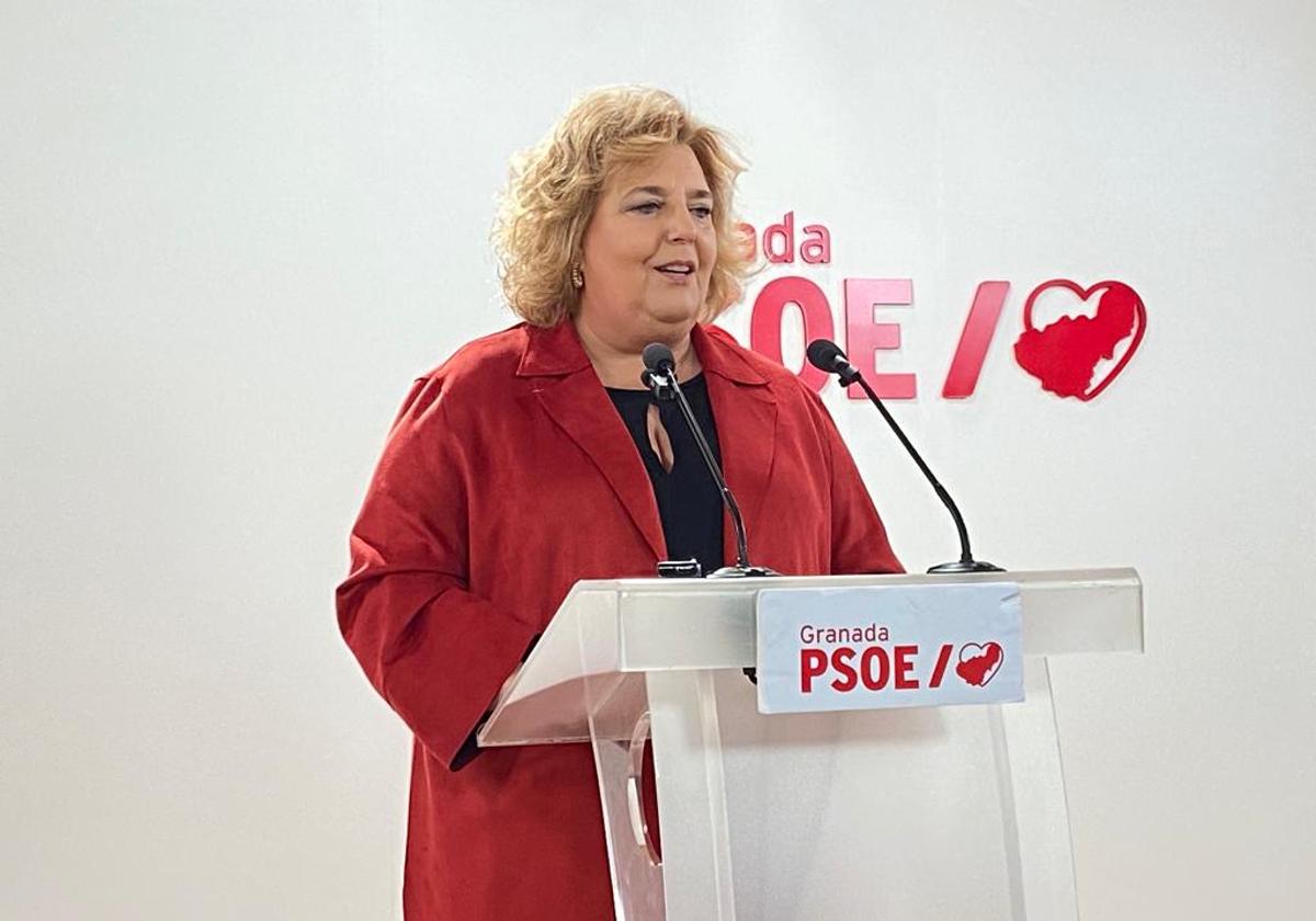 Fátima Gómez, portavoz socialista en la Diputación