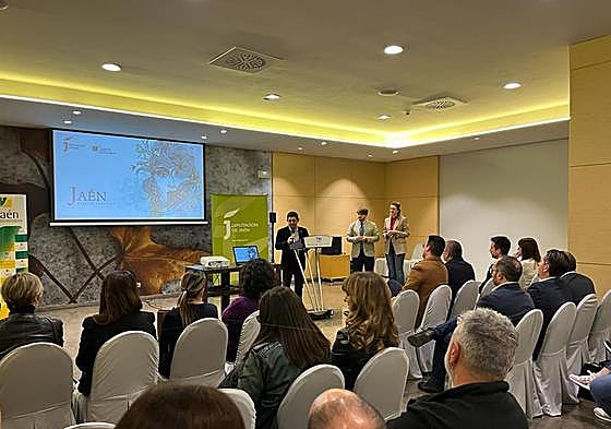 Francisco Reyes durante su intervención en el encuentro con agentes de viaje vascos.