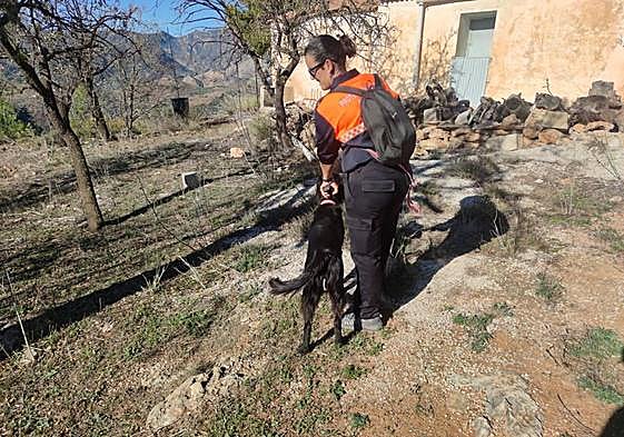 Una patrulla canina de Motril ayuda en la búsqueda del anciano de Guájar-Faragüit