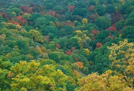 Imagen principal - Los colores en pleno otoño son espectaculares a lo largo del camino.