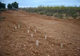 Almería recibirá 40 de los casi 100 millones que la Junta destinará a restaurar cauces de ramblas y ríos