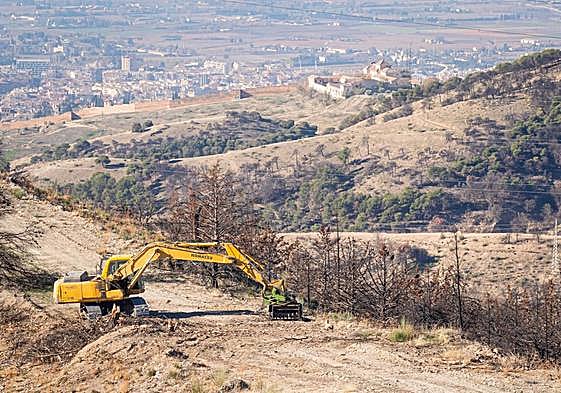 Las máquinas han comenzado por retirar la madera quemada.