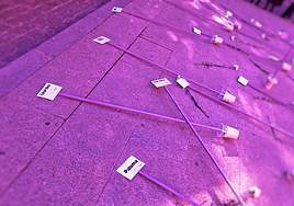 Acto por el 25N en la capital jienense.