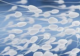 Granada es la provincia con peor semen de España, según un estudio.
