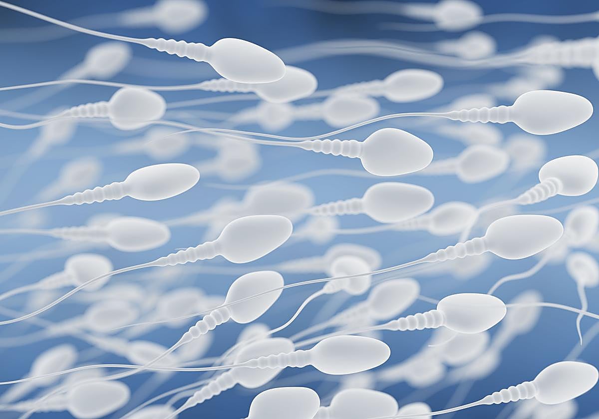 Granada es la provincia con peor semen de España, según un estudio.