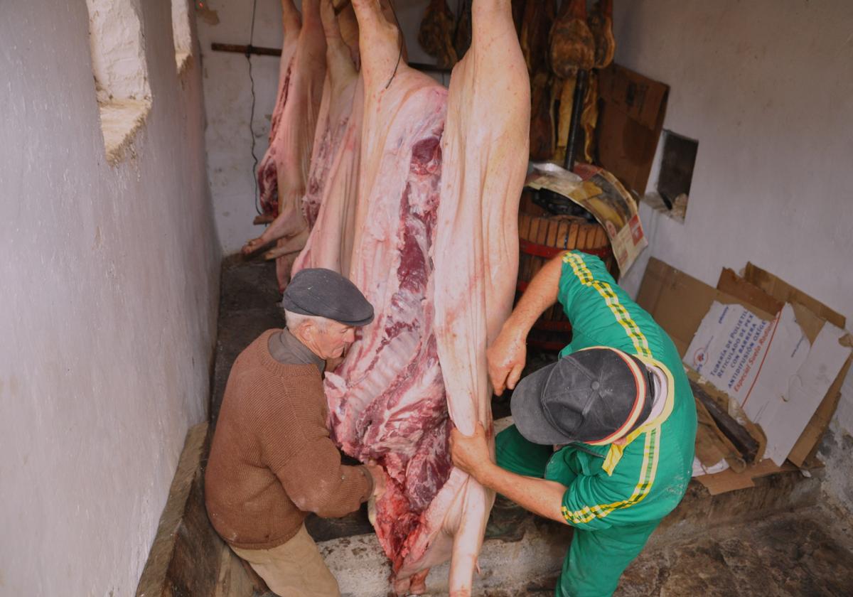 Mecina Bombarón y Yegen recordarán sus tradiciones en la fiesta de la matanza del cerdo