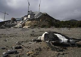 Estado del hotel construido en el Algarrobico.