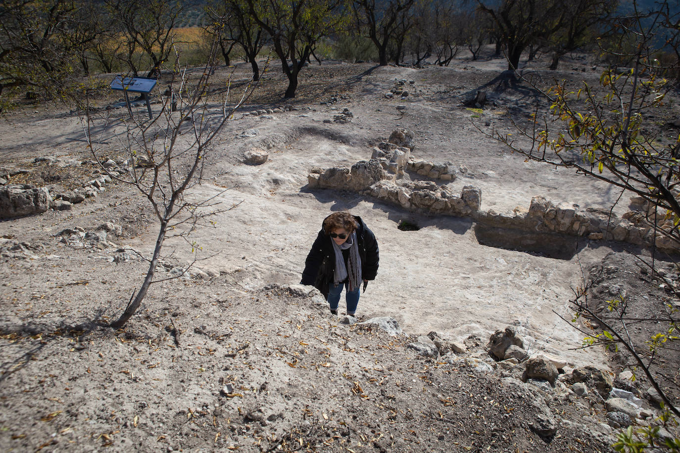 Supervisando los diferentes estratos arqueológicos del yacimiento de Tózar.