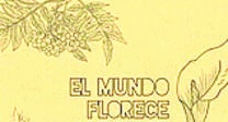 El mundo florece para ser escrito