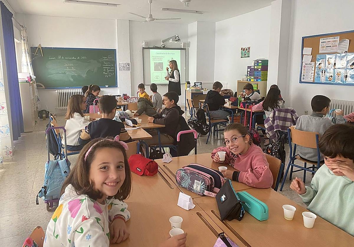 Alumnos de Torredonjimeno hacen una cata de aceite de oliva.