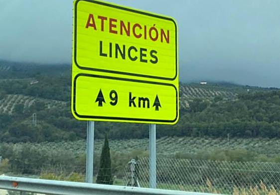 Cartel instalado en la autovía A-44 (Bailén-Motril), junto a la salida hacia Pegalajar.