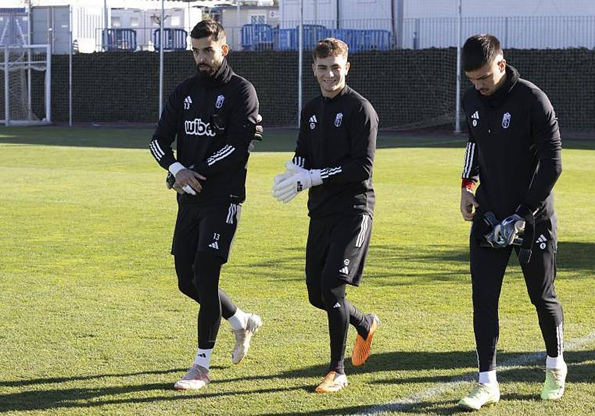 Árbol, entre André y Adri.