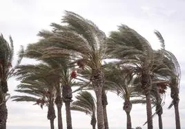 La Aemet activa los avisos naranja y amarillo y viento y oleaje