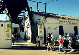 Visita guiada para turistas a la almazara San Francisco, en la provincia de Jaén.