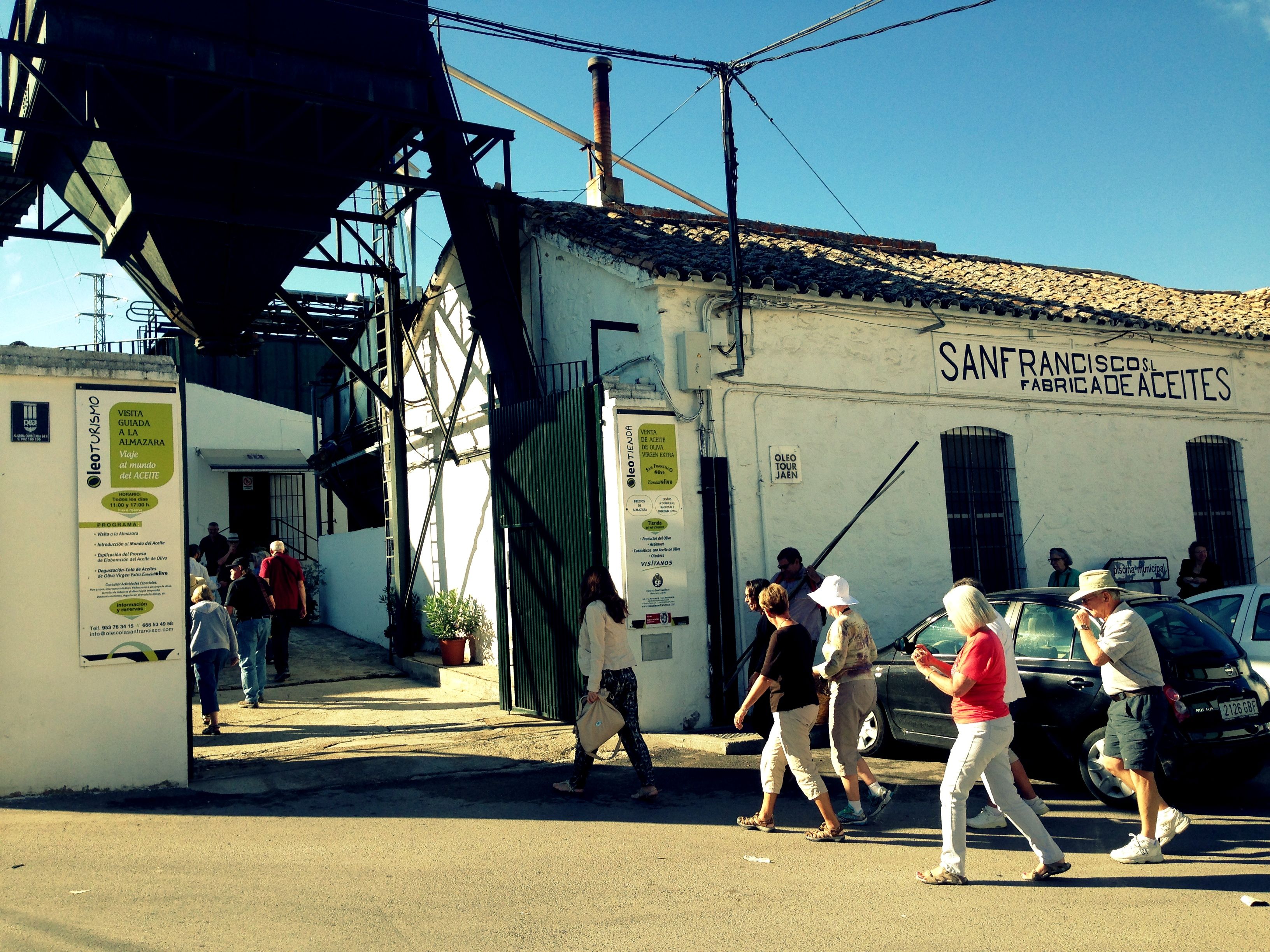 Visita guiada para turistas a la almazara San Francisco, en la provincia de Jaén.