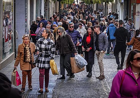 Calles y tiendas abarrotadas en Granada en las compras de última hora de Nochebuena