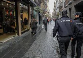 Una pareja de Policía Nacional patrulla por calle Mesones.