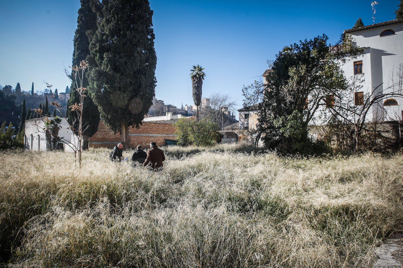 El antiguo huerto medieval está cubierto de arbustos.