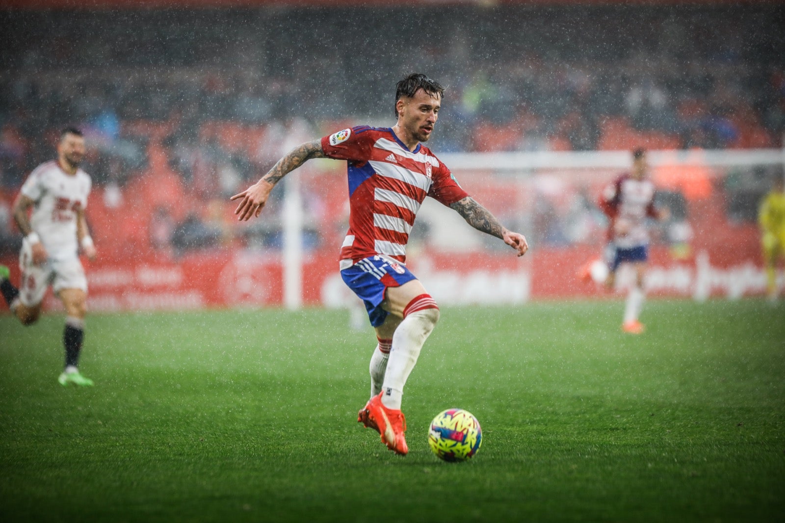 Las mejores imágenes del partido disputado en Los Cármenes