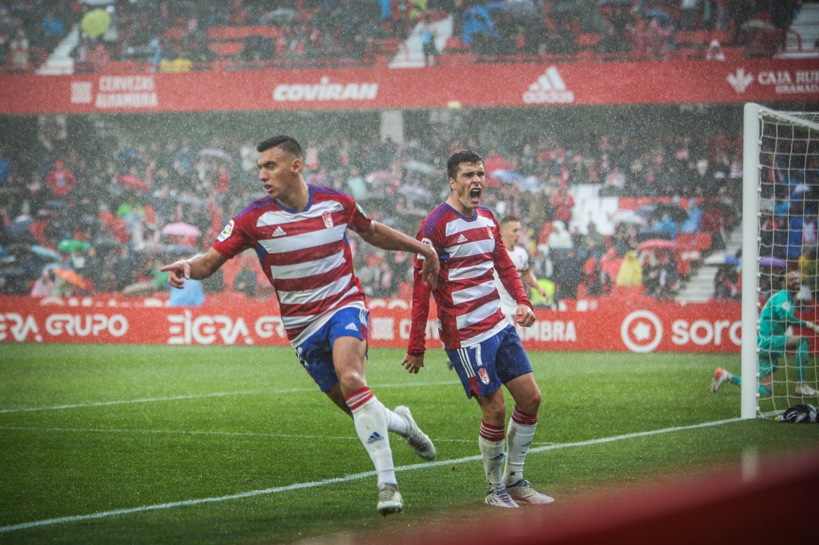 Las mejores imágenes del partido disputado en Los Cármenes