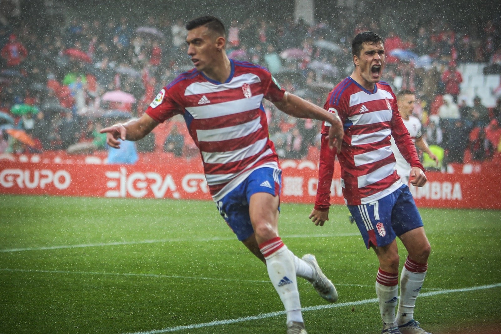 Las mejores imágenes del partido disputado en Los Cármenes