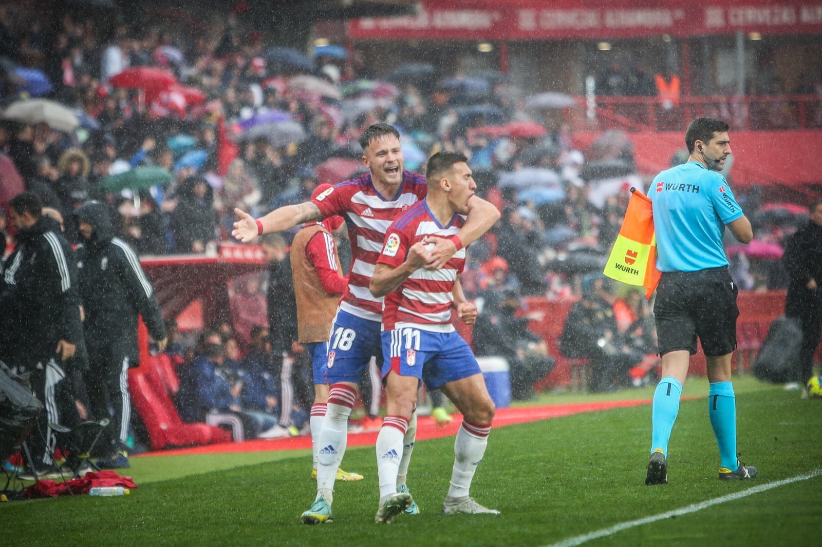 Las mejores imágenes del partido disputado en Los Cármenes