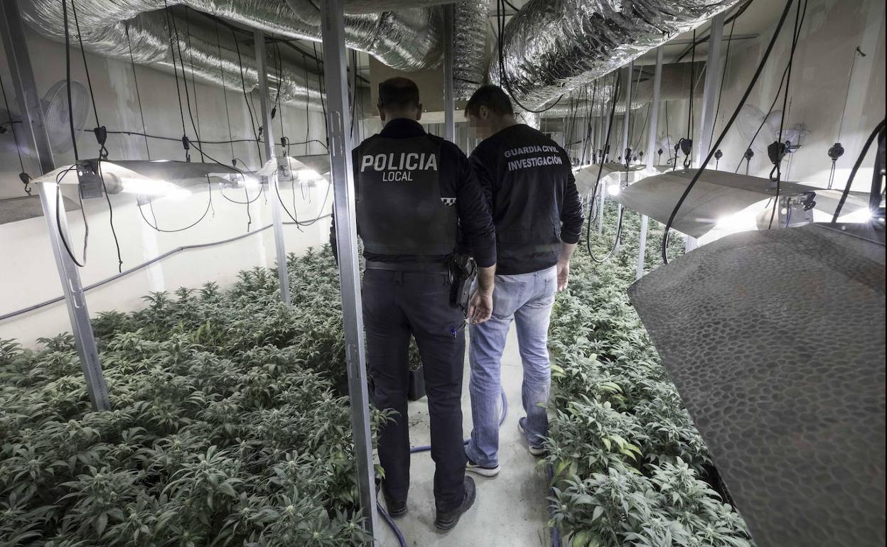 Imagen de archivo de una intervención contra el cultivo de marihuana en Granada ajena a estos hechos. 