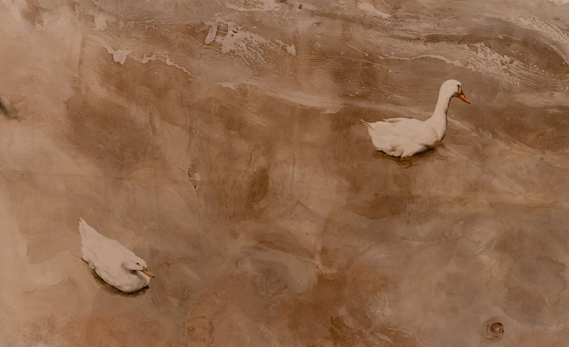 Scroll Story imagen 6