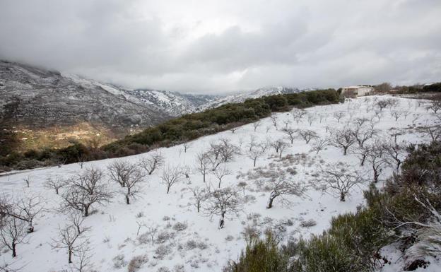 La nevada tiñe Haza Llanas, el puerto de Güéjar Sierra