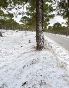 Imagen secundaria 2 - La nieve de la &#039;nortada&#039; llega hasta el Valle de Lecrín