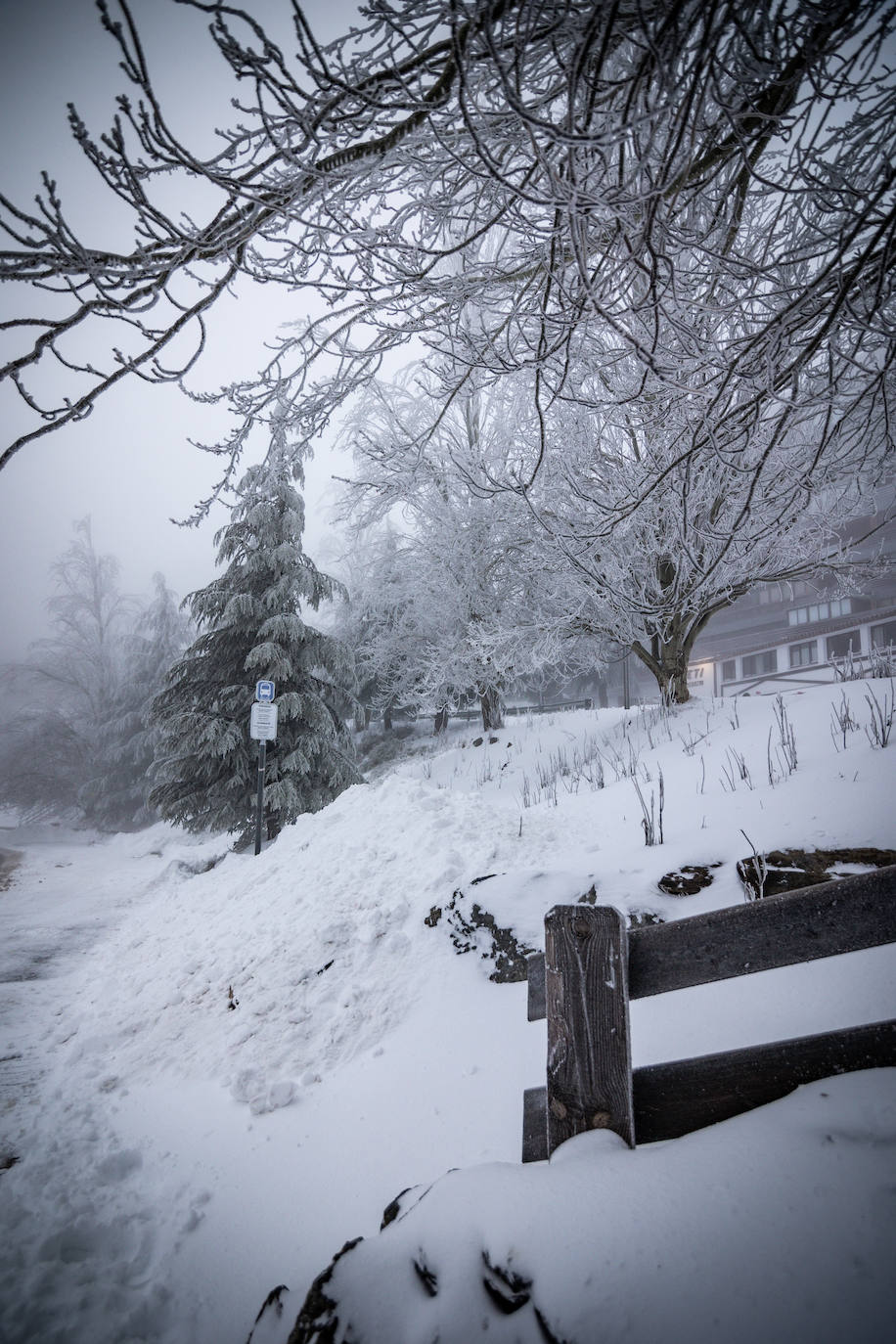 La estación de esquí de Sierra Nevada acumula 15 centímetros de nieve este miércoles