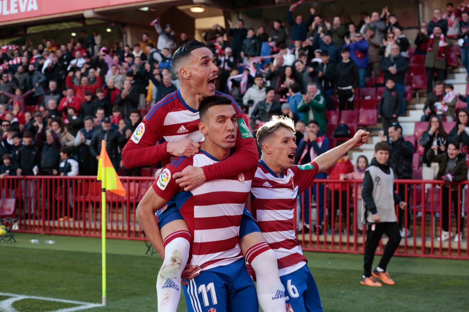 Las mejores imágenes del partido disputado en Los Cármenes