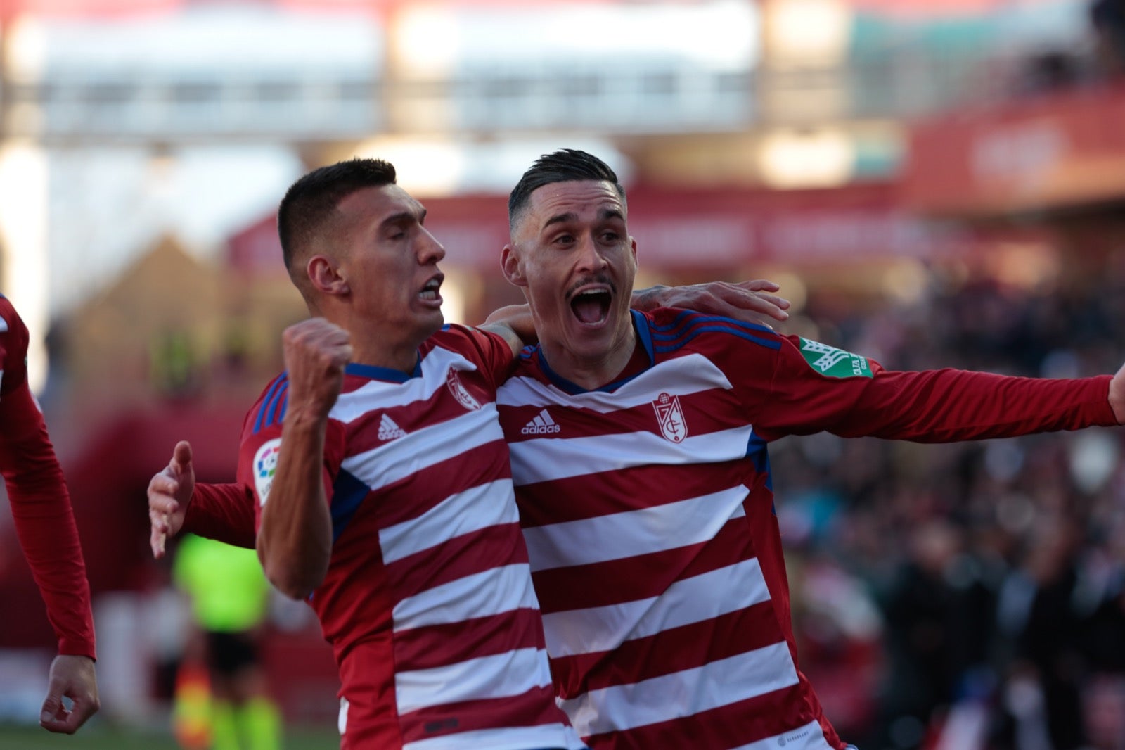 Las mejores imágenes del partido disputado en Los Cármenes