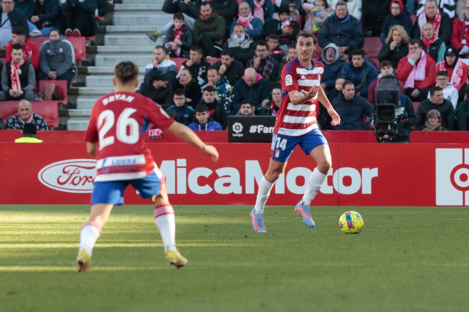 Las mejores imágenes del partido disputado en Los Cármenes