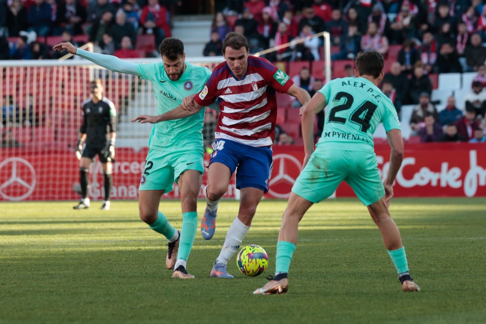 Las mejores imágenes del partido disputado en Los Cármenes