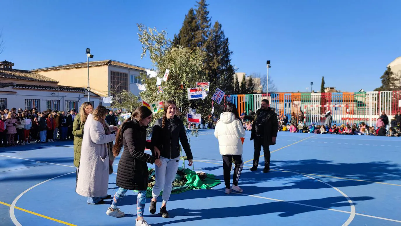 Fotos: Día de la Paz en el colegio Jesús María Cristo de la Yedra de Granada