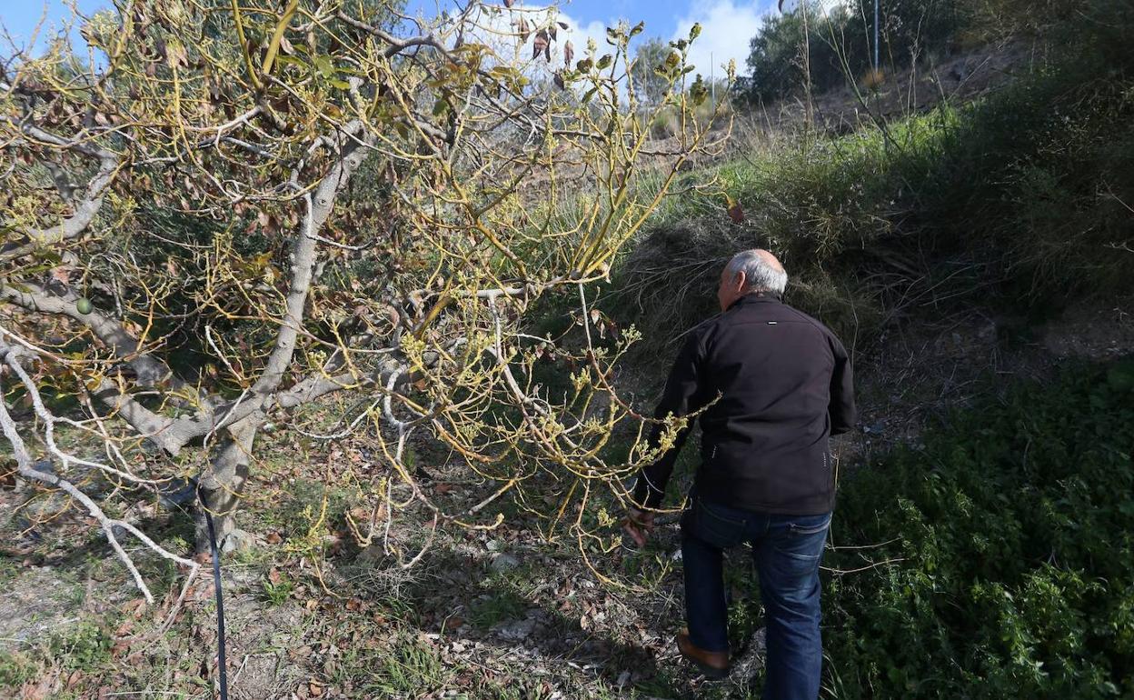 Imagen de archivo de la sequía de Almuñécar.