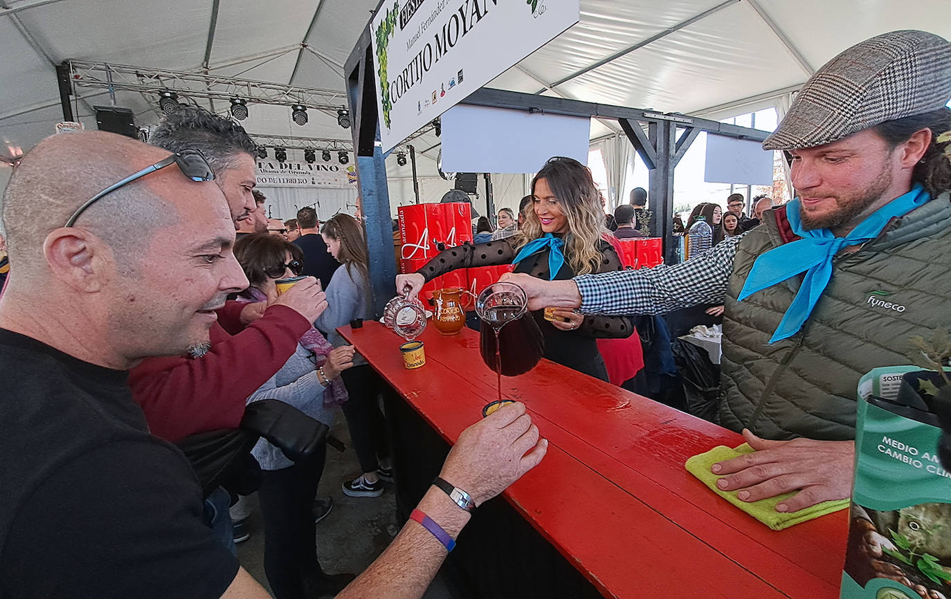 X Fiesta del Vino en Alhama.