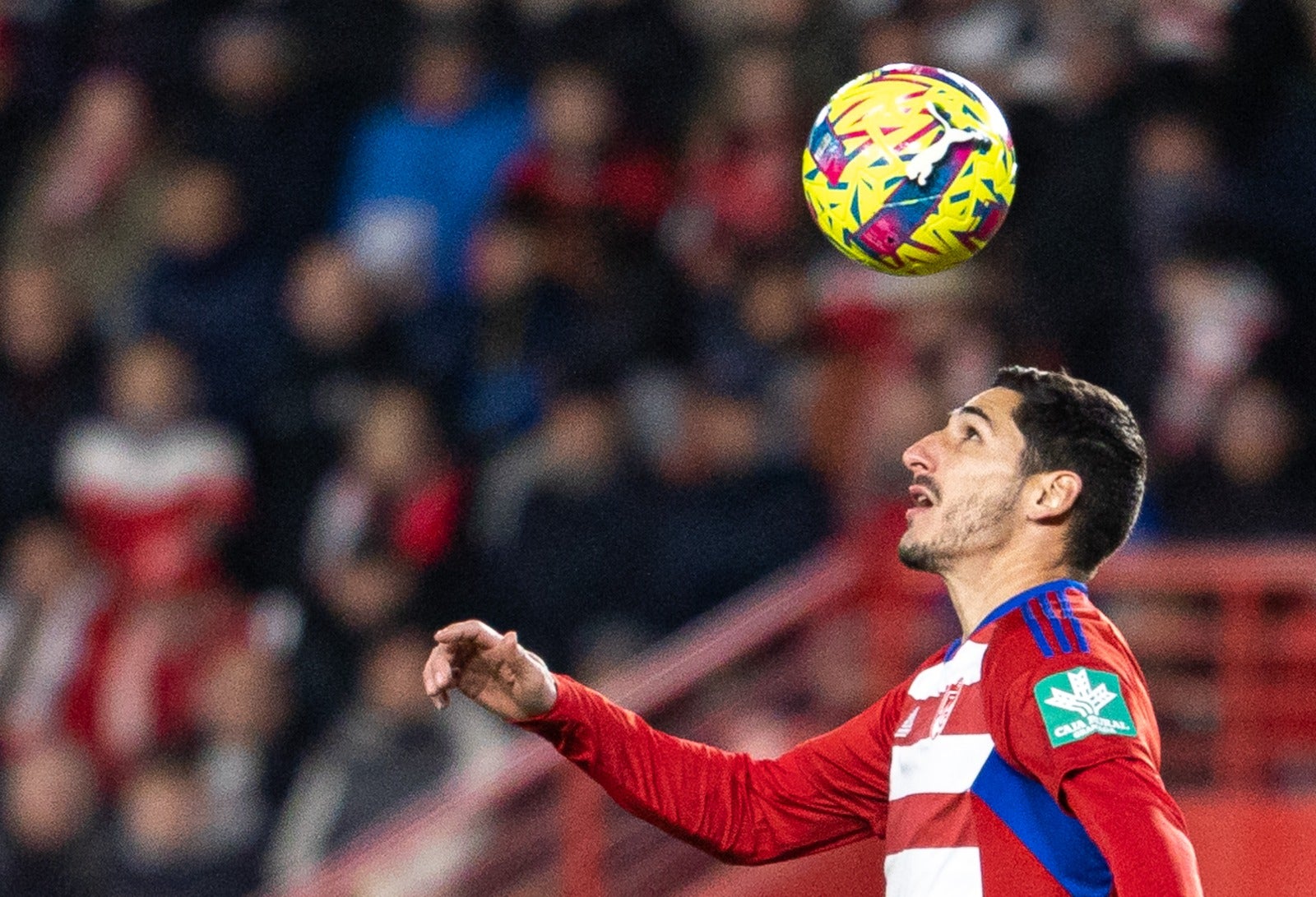 Las mejores imágenes del partido disputado en Los Cármenes