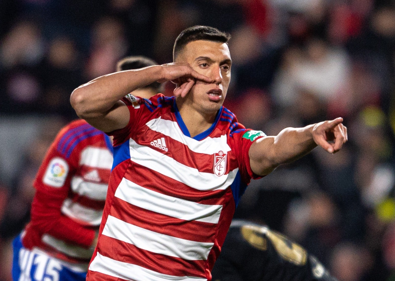 Las mejores imágenes del partido disputado en Los Cármenes