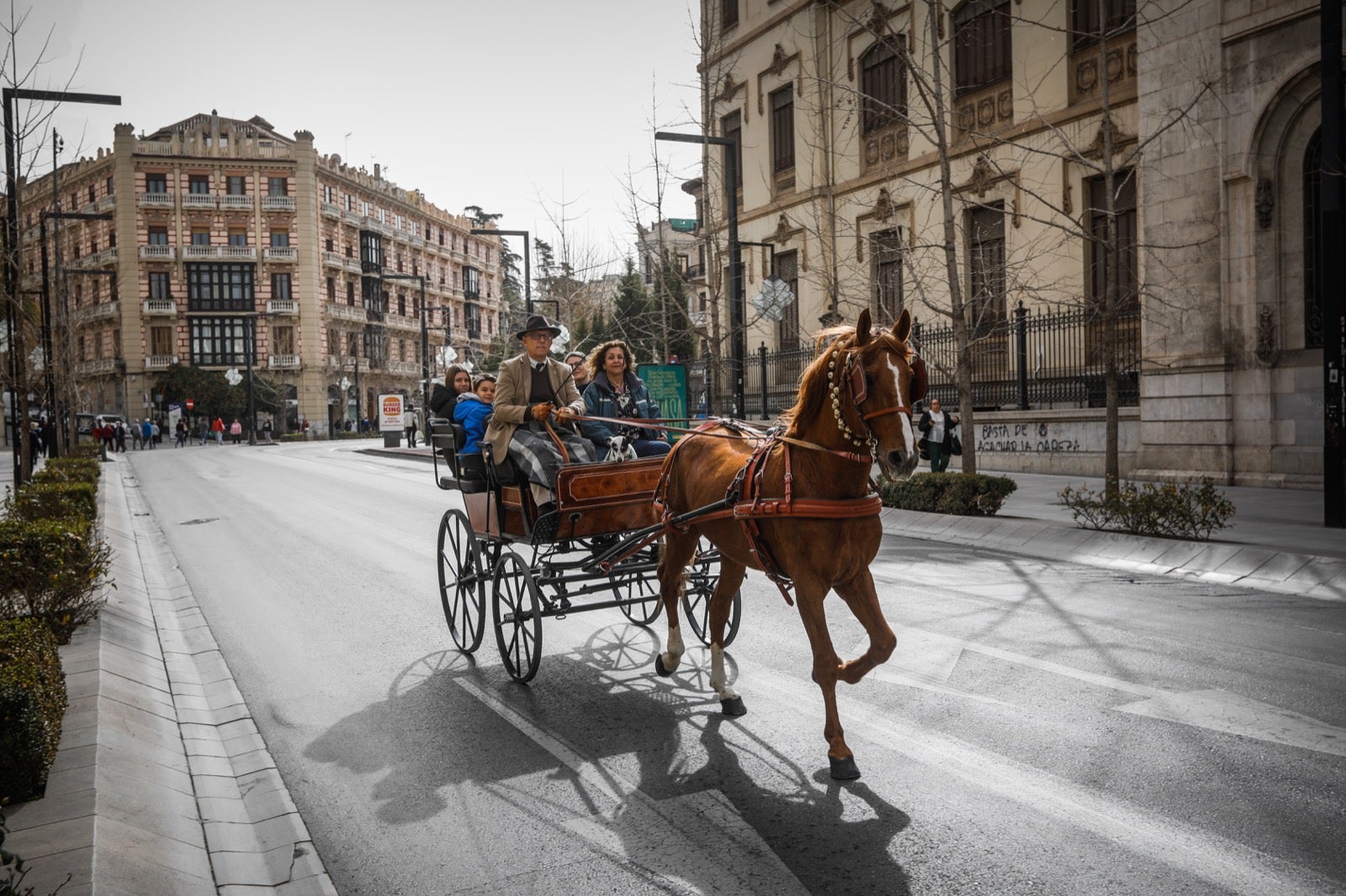 Actividades de todo tiop en el centro de la ciudad con motivo del día sin coches