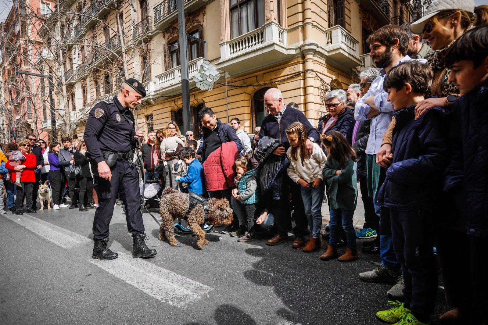 Actividades de todo tiop en el centro de la ciudad con motivo del día sin coches