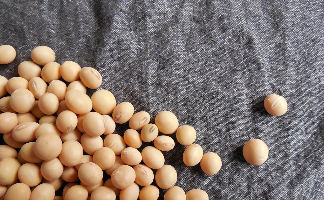 Así es la nueva 'súper harina' que absorbe la grasa acumulada y colesterol malo.